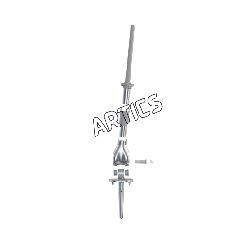 Distal Femur Prosthesis System
